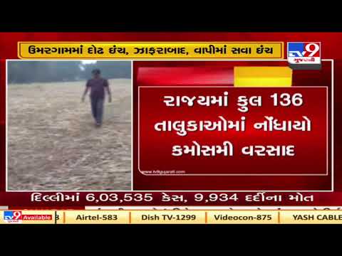 136 talukas received rain in last 2 days, Valsad's Umargam received highest 1 5 inches rain| TV9News