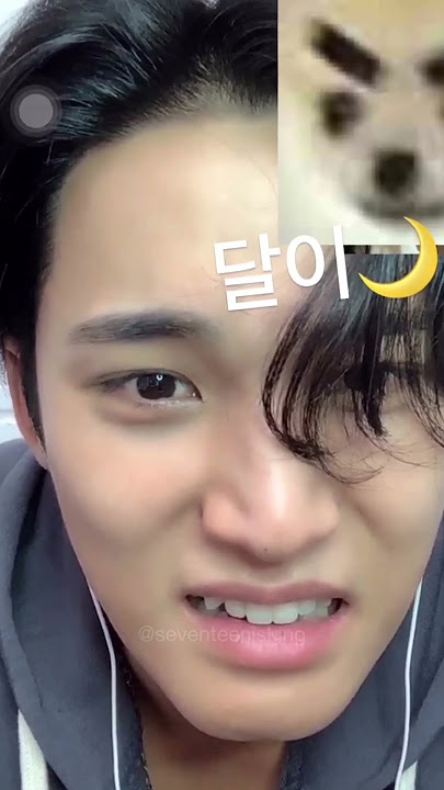 mingyu & Vernon reaction to jun kiss💋scene🤣 exclusive fairytale ll #seventeen#mingyu #vernon#jun