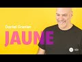 Daniel Grenier Jaune 2025 