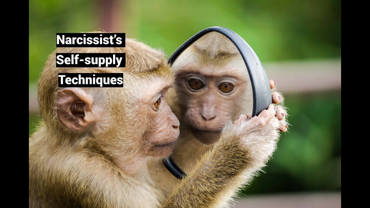 Video thumbnail — Narcissist’s Self-supply Techniques