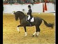 Donnerhall - Legendary oldenburg stallion (Damon Hill, Digby, Donnperignon)
