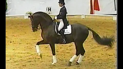 Donnerhall - Legendary oldenburg stallion (Damon H...