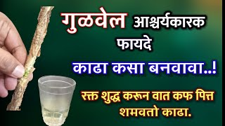 गुळवेलाचे चमत्कारिक फायदे | काढा कसा बनवावा, शुगर पित्त सांधेदुखी प्रतिकारशक्ती, giloy gulvel fayde