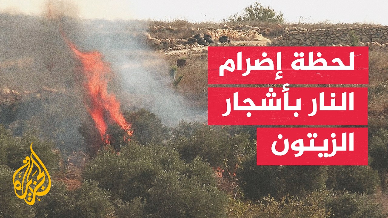 ���� � ���� ����� ���������� ����� �� ����� ������� ����� ��� ���� ��� ��� ����
 - نشر قبل 21 دقيقة