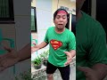 video kocak dan gokil @suciptomartinreal / kucing lapar minta makan #shorts