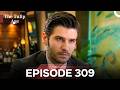 The Tulip Age Episode 309