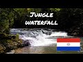 Searching for waterfalls in the jungle  vlog