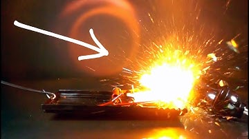 MOUSETRAP vs LIGHT BULBS Experiment - Super Slow Motion