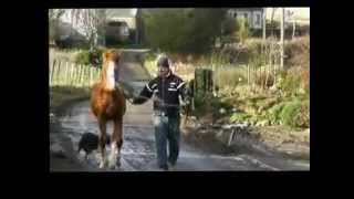 Mfs Handsome Charmeur 0213D