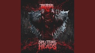 Splitting Heads