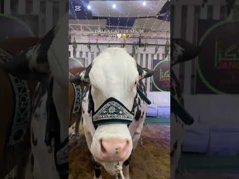 DELFA 2025 Shortvideo Viralvideo Short