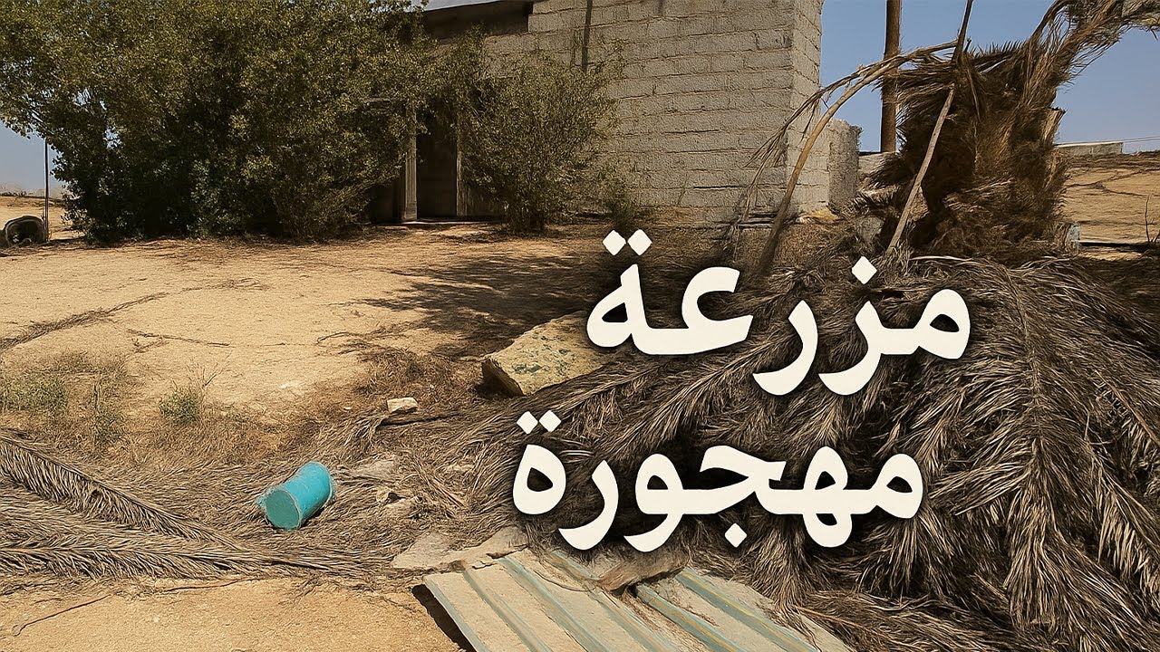 مزارع السعودية | مهجورة من زمان طويل بس ليه تركوها؟ 🏚️❓