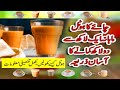 Chai Ka Hotal Kholne Ka Asan Tareka How To Open Tea Hotel Quetta Tea Hotal Chai Ka Hotal Kholne Ka Asan Tareka How To Open Tea Hotel Quetta Tea Hotal