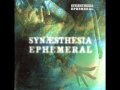 Synaesthesia - Nomads