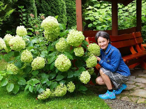 Wideo: Piąta Wystawa Moskwa Garden Show - 5 Pokazała Radość Do Ogrodu I Domu