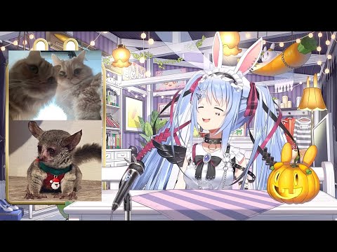 【兎田ぺこら】優しい☆自身は寒くてもごろにゃんみみちゃんジルくんが寒くないように気遣うぺこらちゃん 2025/10/22(Aパート)【ホロライブ切り抜き】
