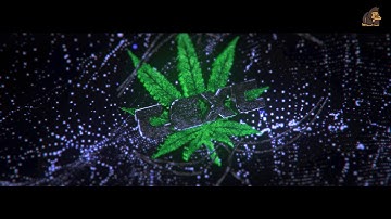 Sync Weed Intro Template #002 by MonkiiArtZ [C4D&AE]