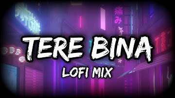 Tere Bina (Lofi Mix) | @MidnightVibesMusic