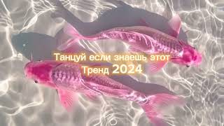 🐳🪸Танцуй если знаешь этот тренд 2024 года🐚🐬