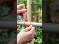 DIY Garden Projects You Can Do This Weekend! 🌱