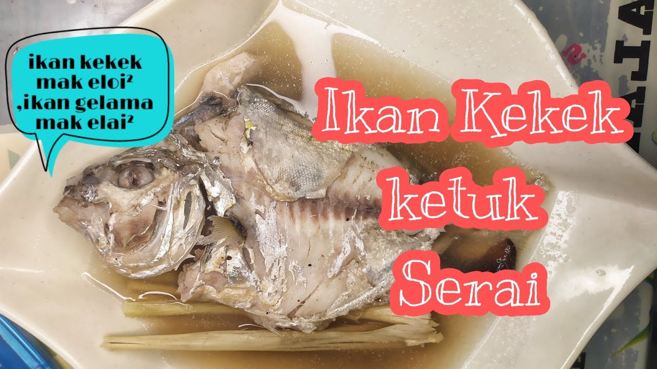 Ikan Kekek Ketuk Serai Versi Kelantan Masakan Melayu Kampung Masakan Kelantan Youtube