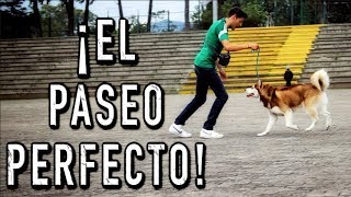 El PASEO PERFECTO con un PERRO IMPOSIBLE  MartGon