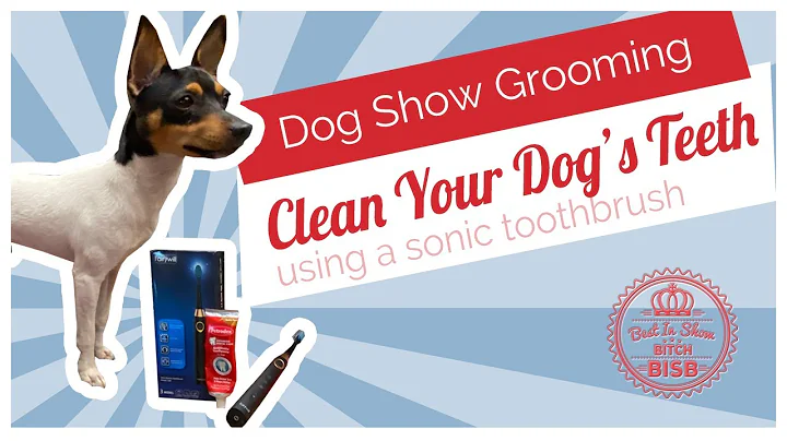 Dog Show Grooming: How To Use Sonic Toothbrush on ...