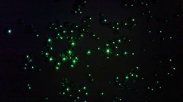 2018. PMMA microsphere WGM resonators on microscope slide. Temperature changes.