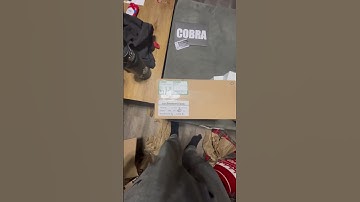 Cobra Firing System Unboxing!! 18r2,36m Quickplugs, 36m with 36 Quickplug Slats. #cobrafiringsystem