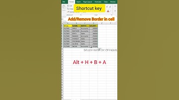 Add or Remove Border in excel in hindi by shortcut key | Study with dy official | #excel #shorts