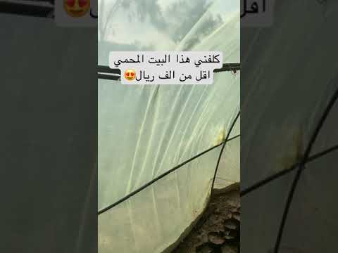 مشروع البيت المحمي واقل تكلفة بناء السعودية الزراعة في السعودية