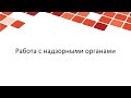 Работа с надзорными органами