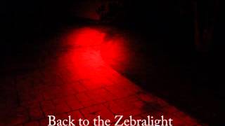 Zebralight H51r vs Radbot 1000