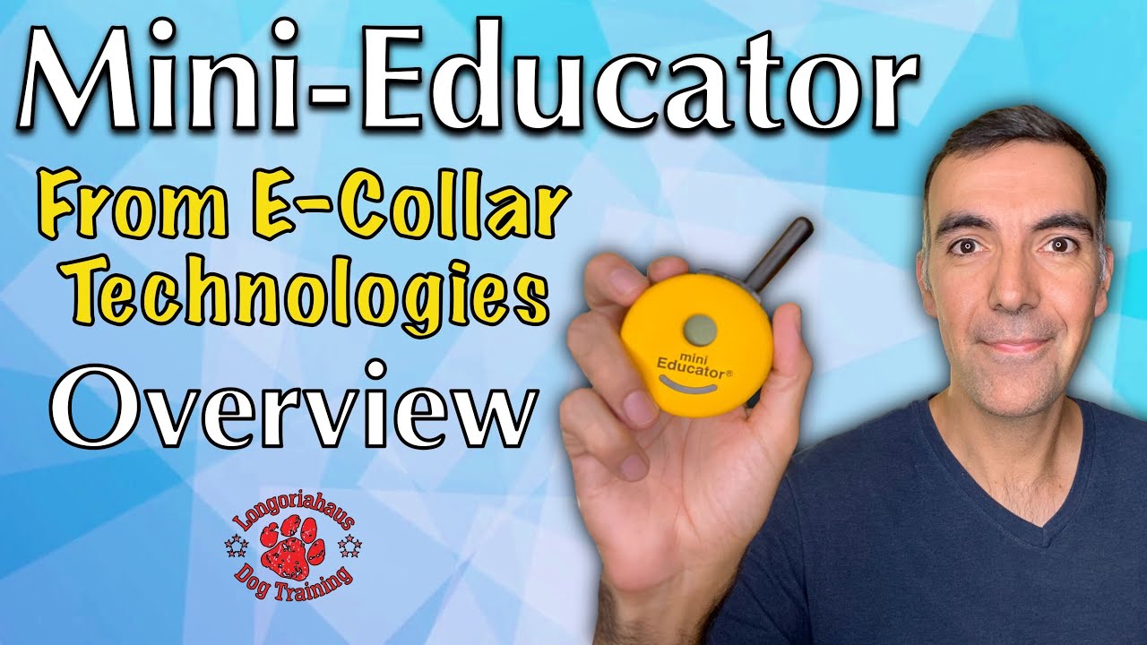 Remote collar overview ET300ts from Ecollar Technologies. YouTube