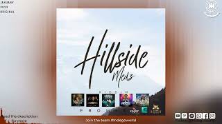 Hillside Medz Riddim Promix - Boyzie | Dash | Terror D Govern | Blackman | Motto | 2023 Soca