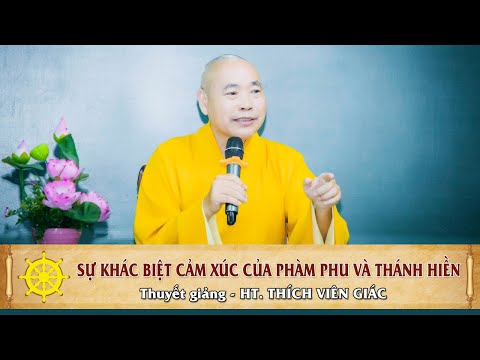 Sự Khác Biệt Cảm Xúc của Phàm Phu và Thánh Hiền - HT. Thích Viên Giác