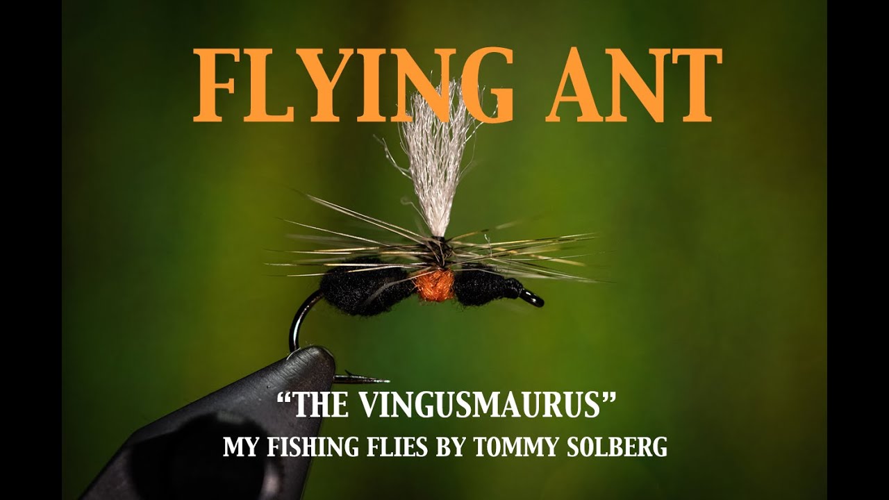 Trigger Fly Insect Tying a flying ant. The Vingusmaurus. One of my most popular flies ...