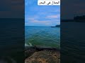 كشـوق الليالي لضوء القمـر كعشق اليباب لقطر المطر كشـوق الليالي لضوء القمـر كعشق اليباب لقطر المطر