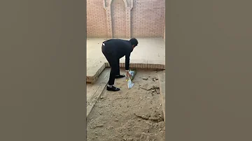 امي ثم امي 