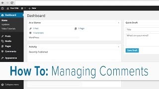 How to Manage Comments