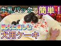 【手作り犬ごはん】簡単！犬用クリスマスケーキの作り方