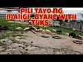 Pagpili ng Magandang Lechunin... Byahe with Tuks