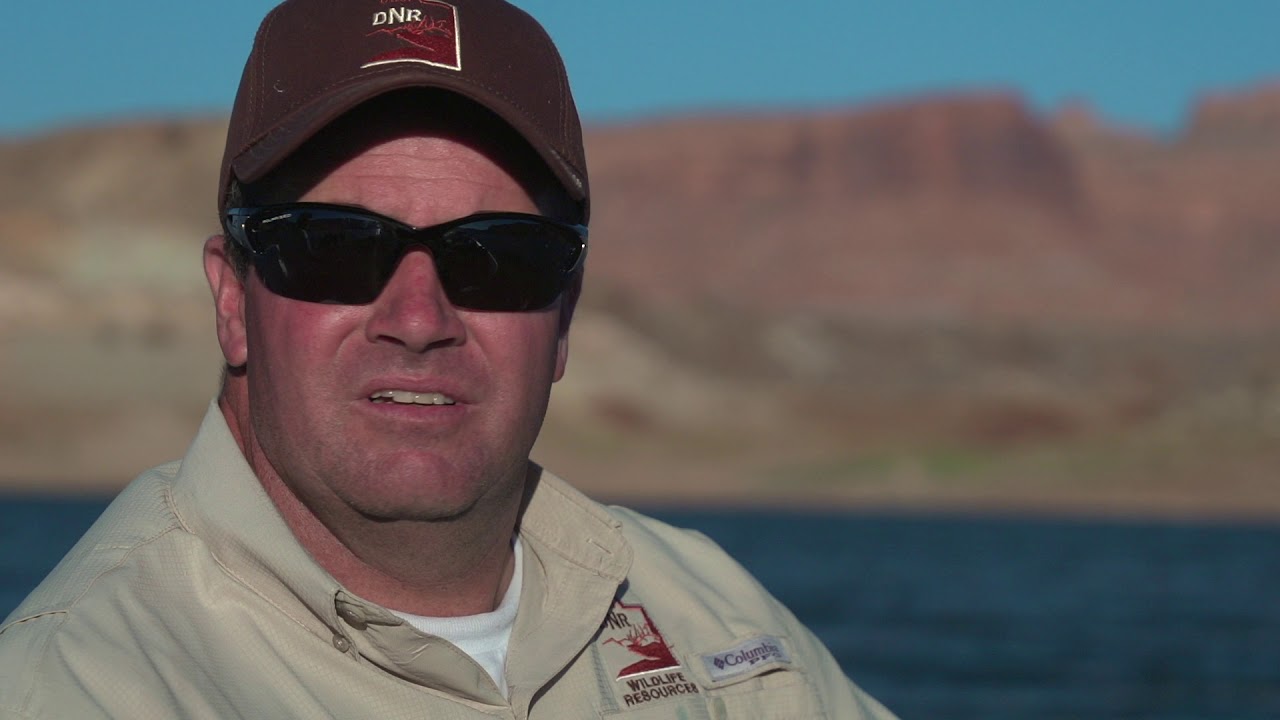 huntington beach california Working with Walleye at Lake Powell