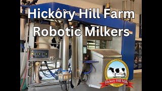 How Does a Robot Milk a Cow? Here's How!