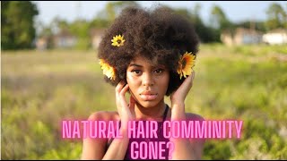 The Rise and Fall of The Natural Hair Community