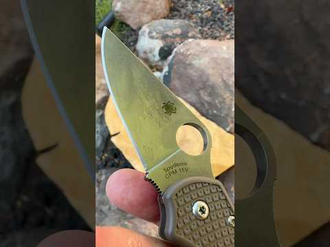 Spyderco September: Day 1️⃣7️⃣ - Para 3 LW  