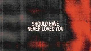 Toby Romeo - Should Have Never Loved You (Visualiser)