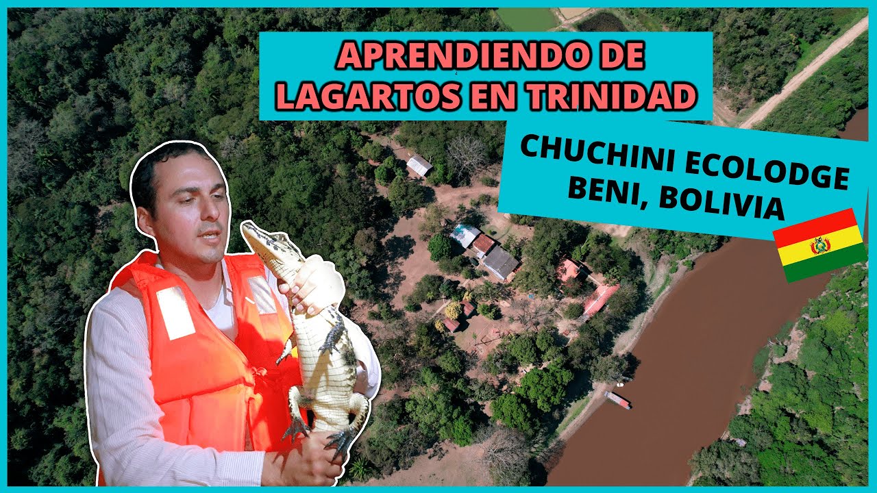 Aprendiendo de CAIMANES & LAGARTOS en CHUCHINI ECOLODGE 🐊Conservación en TRINIDAD BENI BOLIVIA