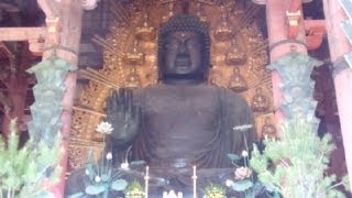 World's Biggest Inside Buddha Statue in Japan