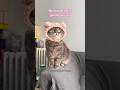 i hunger mom 🥹🥹 #viralvideo #cat #shorts#fyp #fypシ゚ #trending #trendingshorts